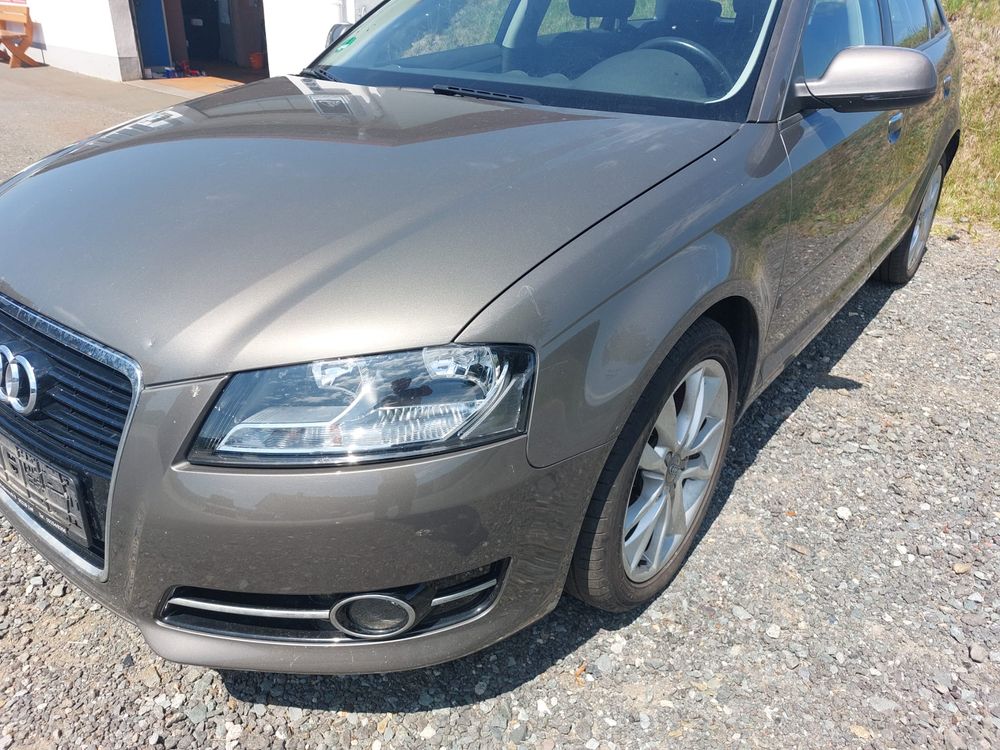 Audi A3 8P 2.0 TDI DPF Attraction 2011
