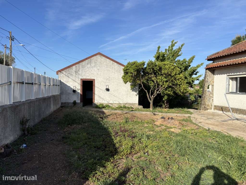 Vendese Quinta com Casa T4, Adega, Lagar e Terreno com Árvores de F...-30