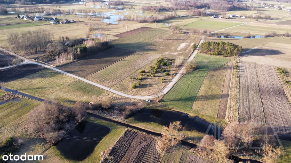 Duża Działka Budowlana Z Możliwością Podziału - Pełny obrazek: 3/18