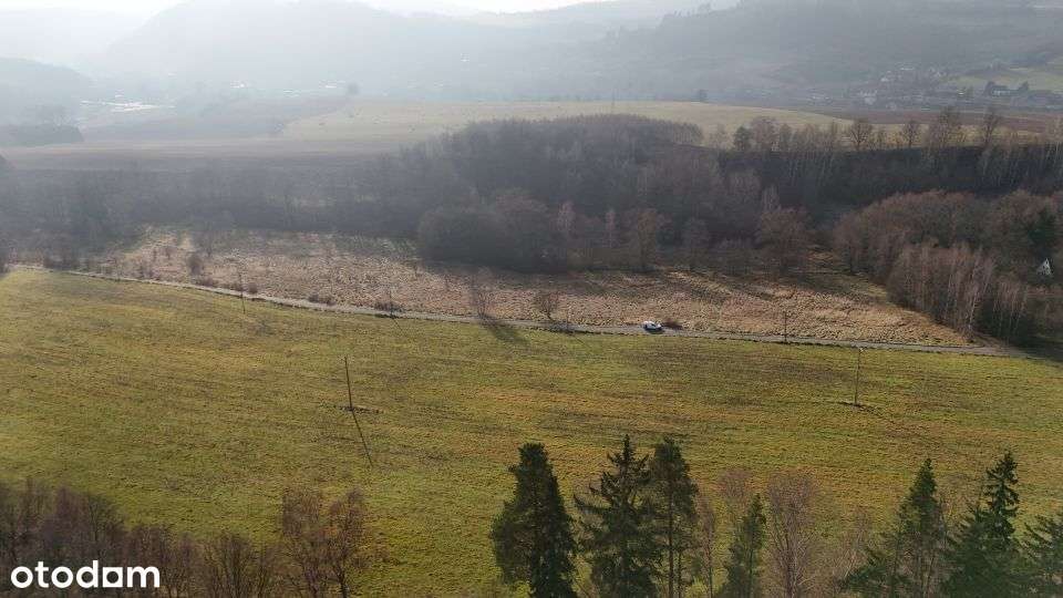 Działki widokowe w Górach Sowich -> Zdrojowisko - Pełny obrazek: 3/10