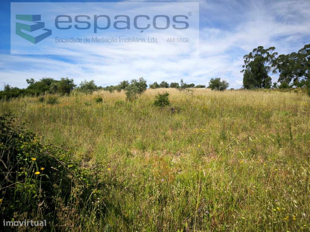 Terreno com poço - Lentiscais - Grande imagem: 5/9