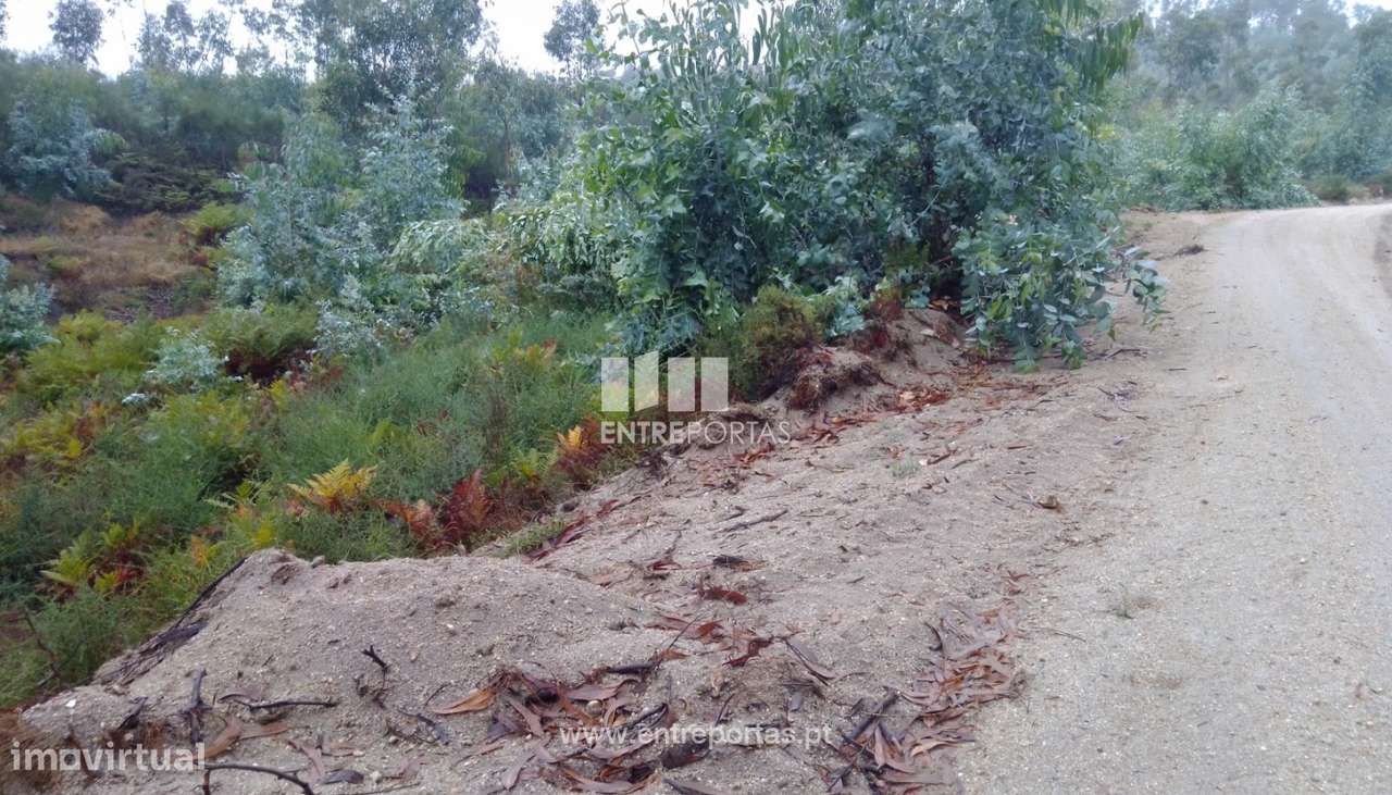 Venda Terreno com 3 hectares, Vila Boa de Quires, Marco de Canaveses - Grande imagem: 4/31