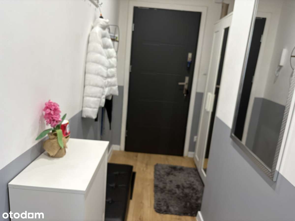 Przytulne jasne 2-pokojowe mieszkanie Chojnow - Pełny obrazek: 4/7