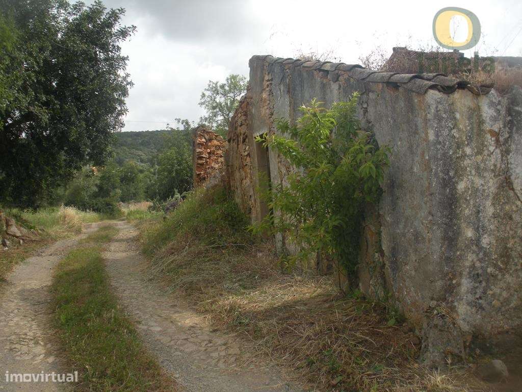 Ruína com 237 m2 com 2200 m2 de terreno - Grande imagem: 4/12