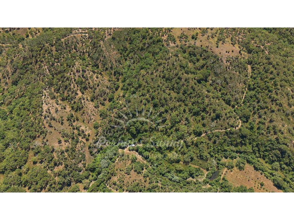 Propriedade Rústica de Montado com Ribeira | 22,6 Hectares | Serra ...-8