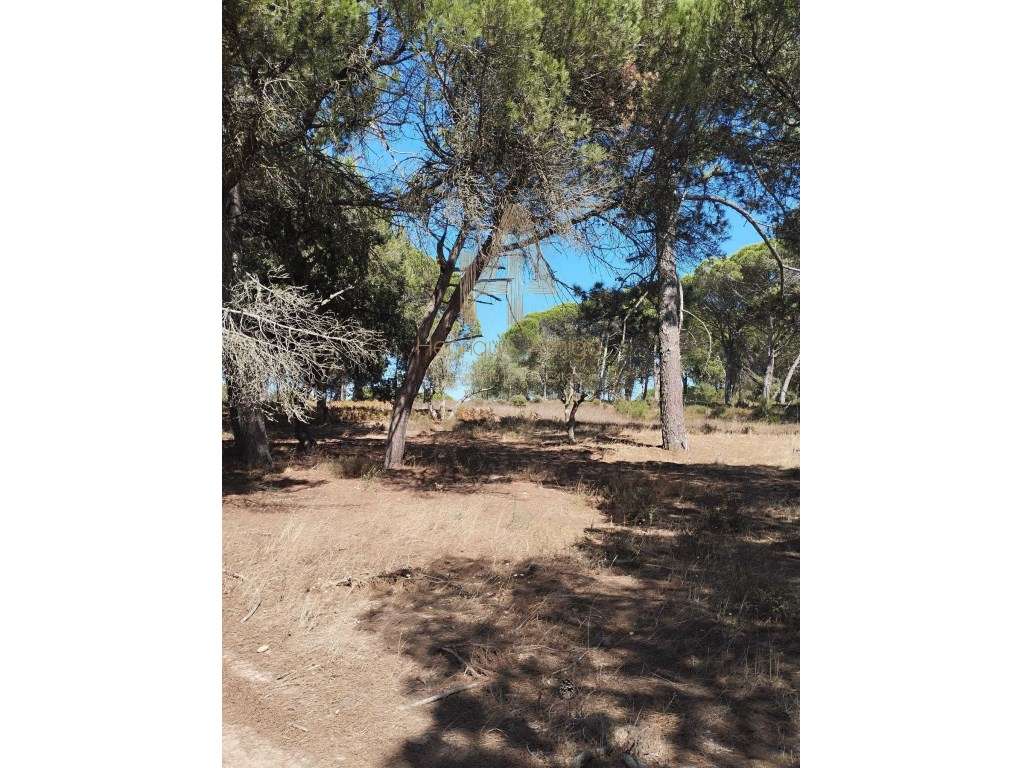 Terreno em Sesimbra - Grande imagem: 2/5