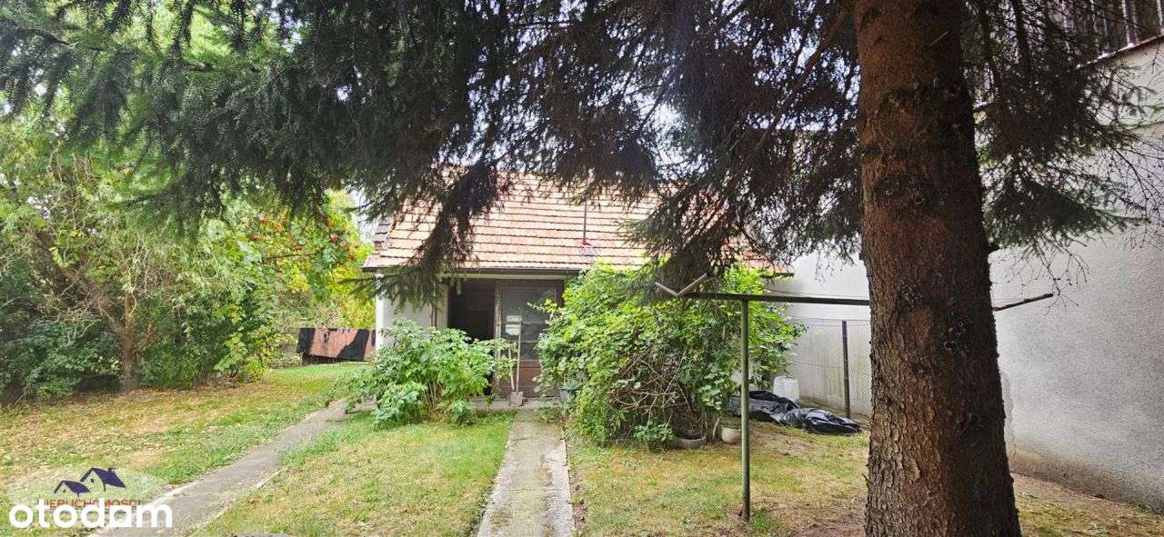 Dom, 85 m², Żabno-14