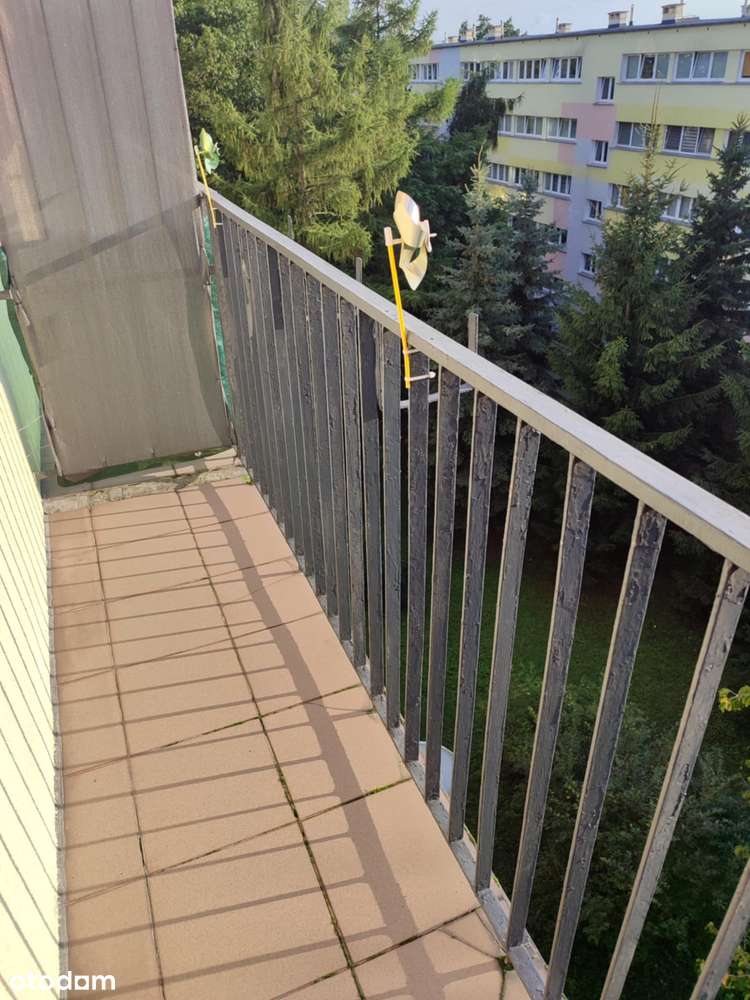 M-3 Teofilów 45m2 cena 290tys.zł-2