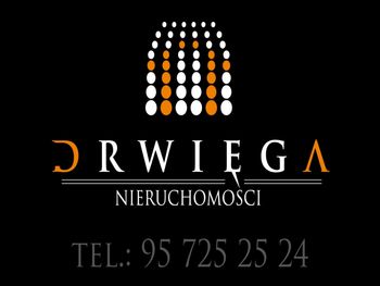 DRWIĘGA NIERUCHOMOŚCI Logo