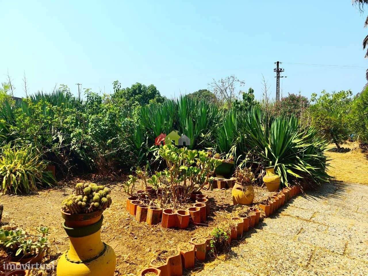 Quinta C/Moradia T2 - Foros de Vale de Figueira-40