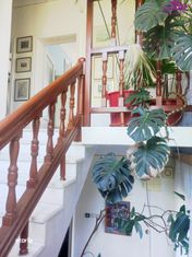 Casa zona dealuri - Imagine principală: 2/20