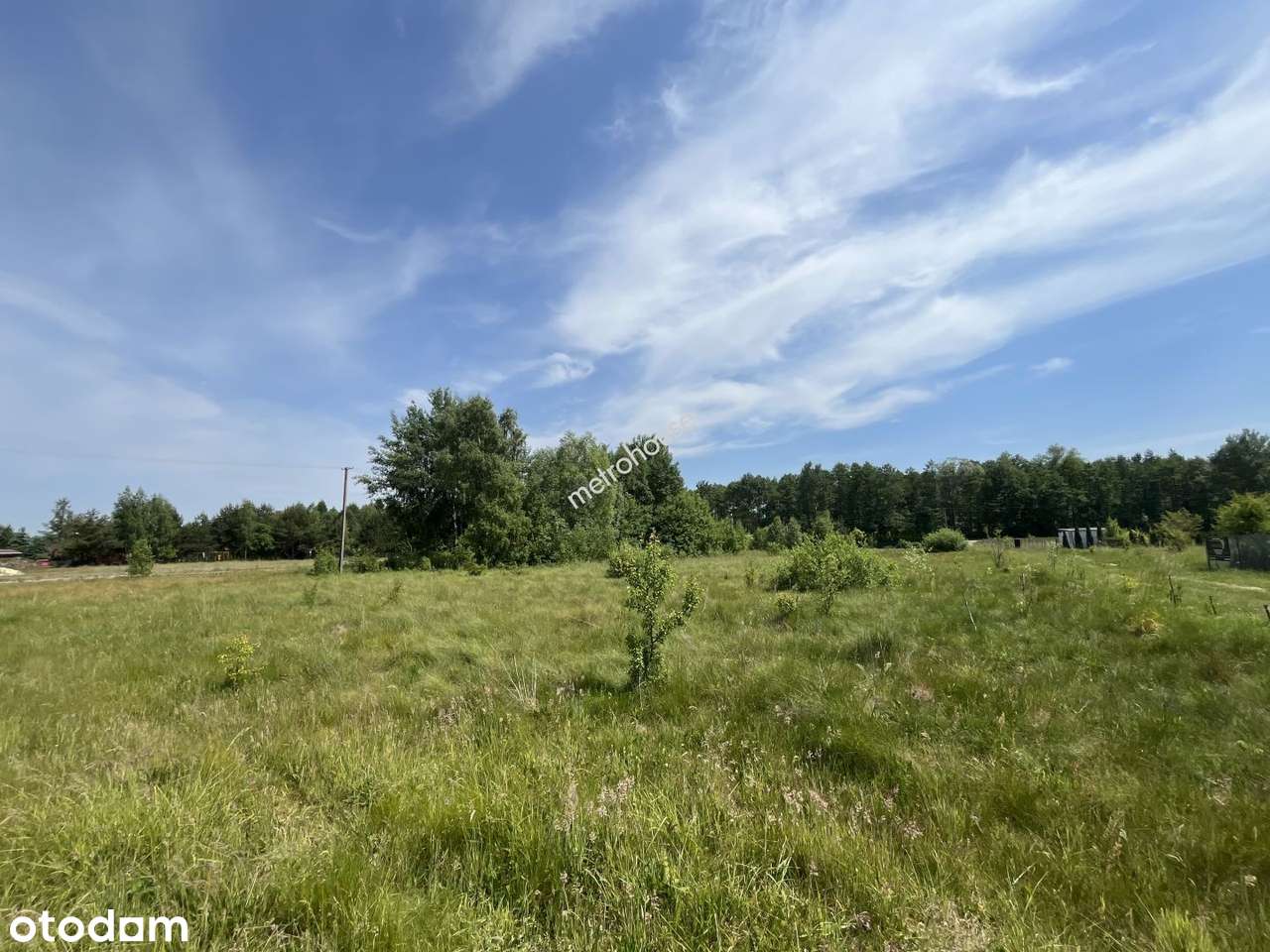 Działka rekreacyjna z WZ , ok. j. Grabniak i Sumin - Pełny obrazek: 4/8