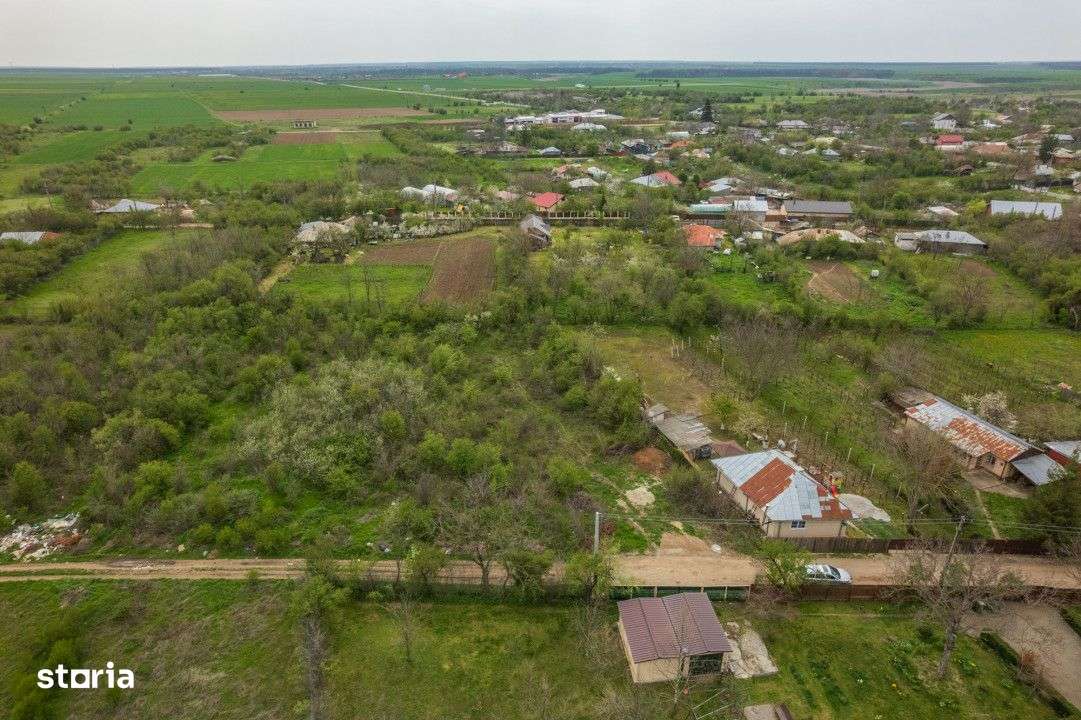 LETCA NOUA, TEREN CONSTRUCTII 1184 MP, FRONT 21 M ! - Imagine principală: 4/19