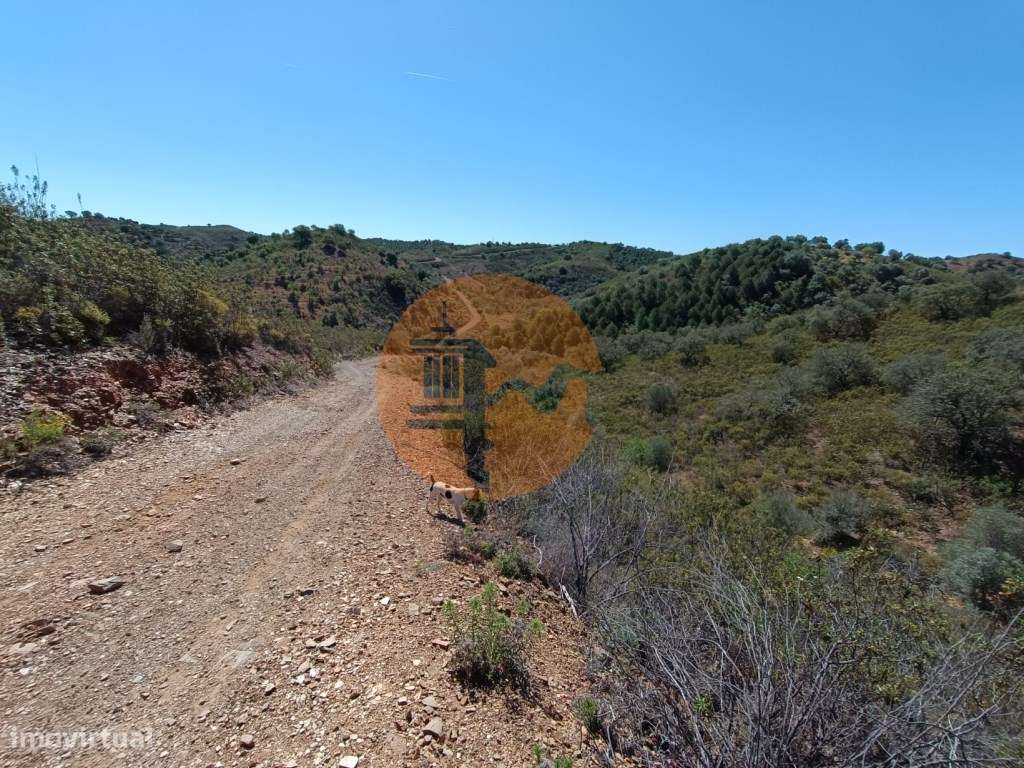 TERRENO RUSTICO COM 22.760 M2 - COM POÇO - EM BRENHOSA - ODELEITE -... - Grande imagem: 3/26