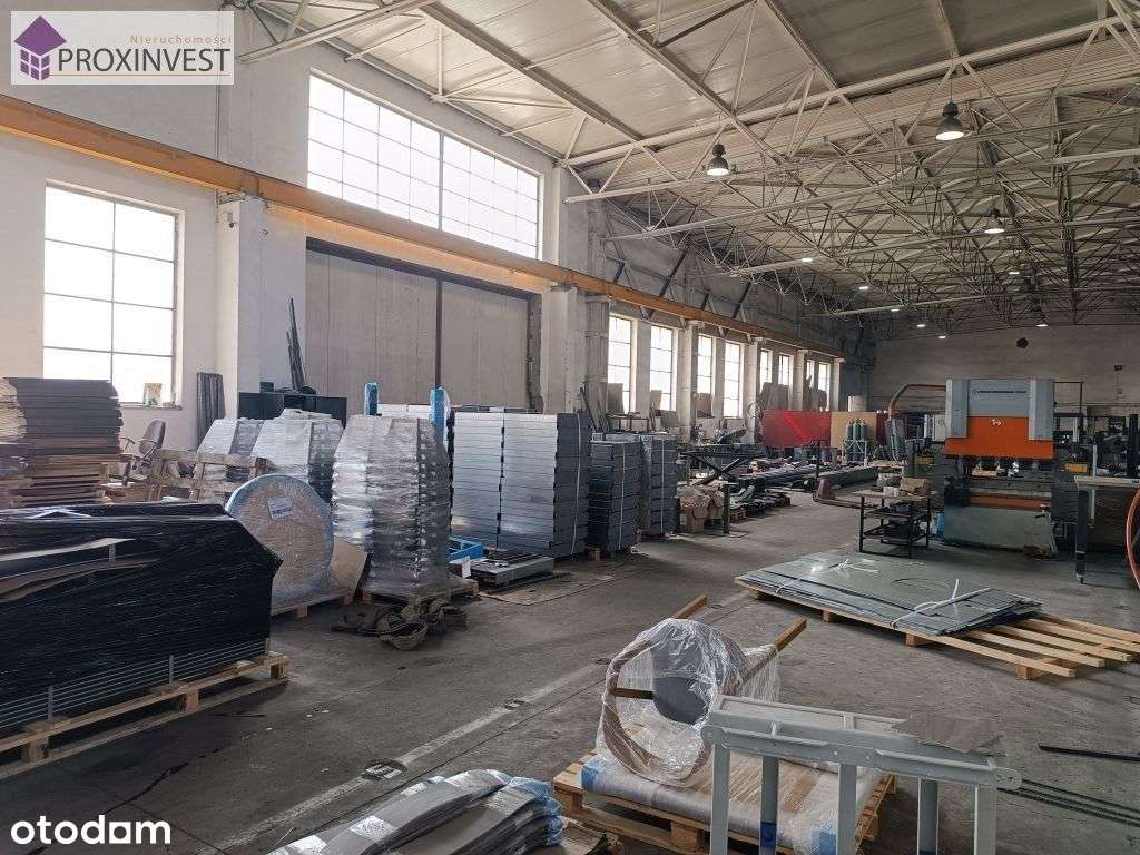 Wysoka hala w Myślenicach - Pełny obrazek: 4/9