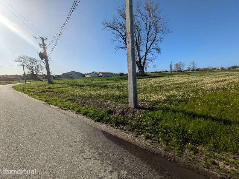 Terreno Rústico em Pardilhó - Grande imagem: 5/9