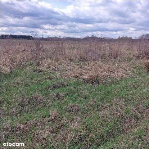 Działka, 658 m², Wola - Pełny obrazek: 4/6