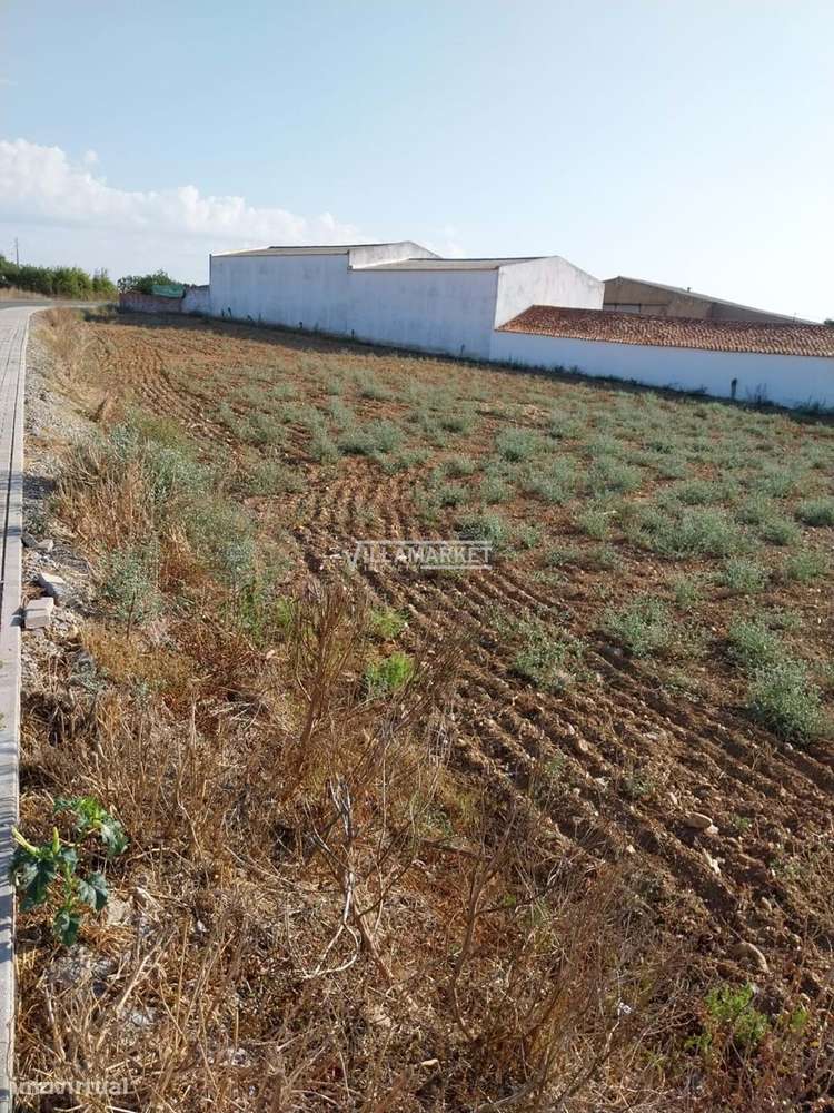 Terreno  em S João de Negrilhos - Grande imagem: 5/5