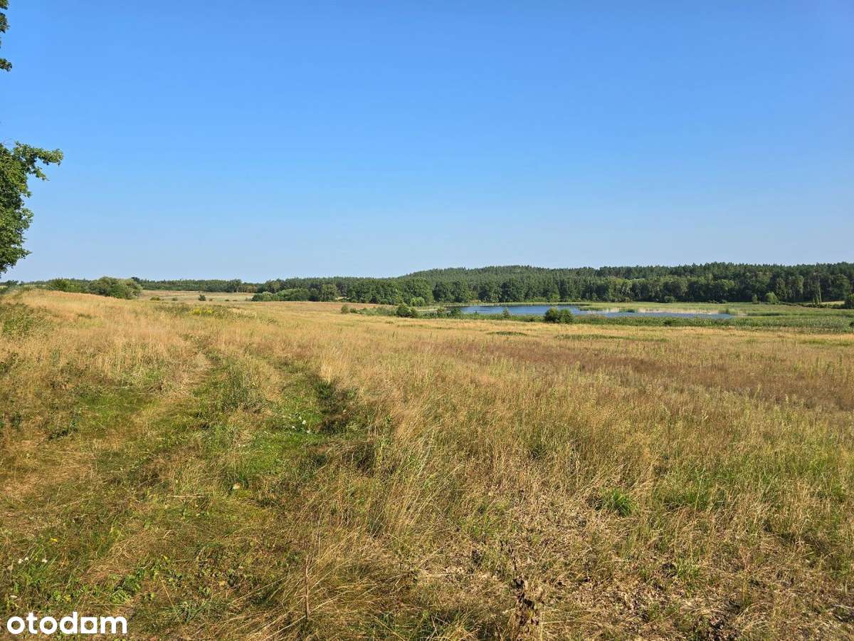 Uzbrojone działki budowlane przy stawach i łąkach, okazja!!!-5