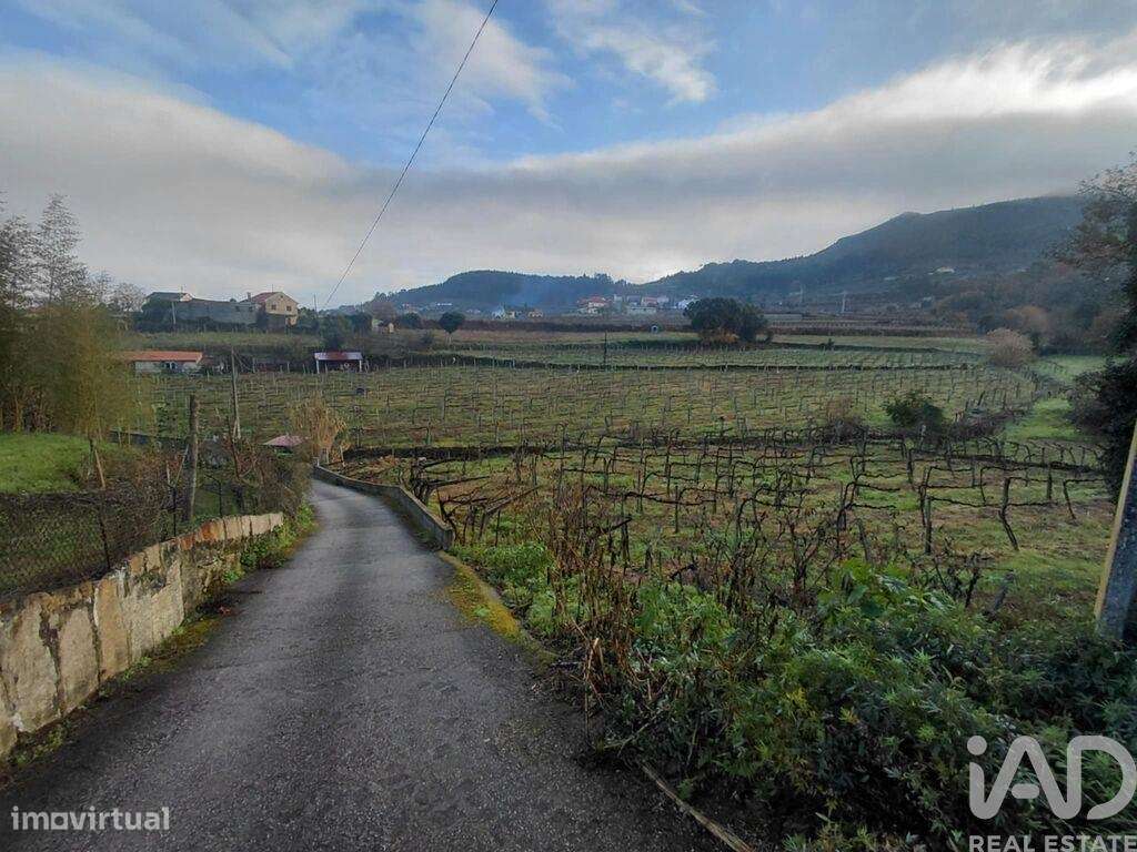 Terreno em Messegães, Valadares e Sá - Grande imagem: 4/6