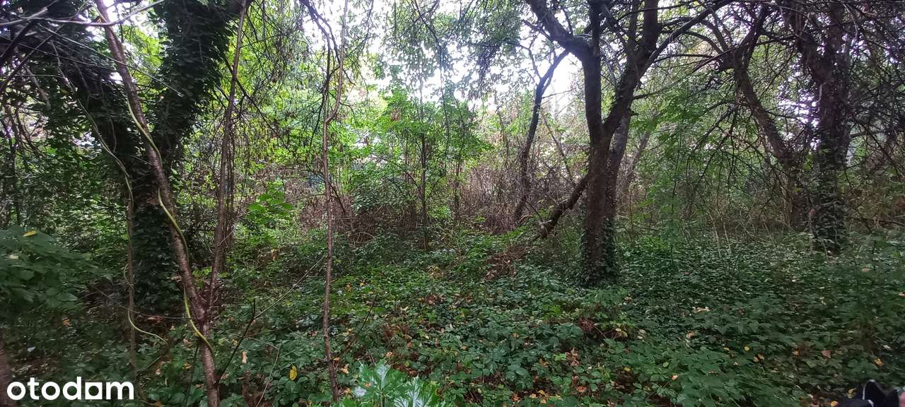 Udziały na sprzedaż- Działka w otoczeniu zabudowy jednorodzinnej-3