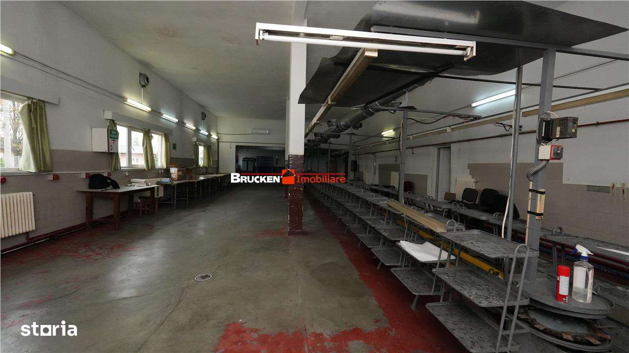 Hala de inchiriat in Marghita - Imagine principală: 3/14