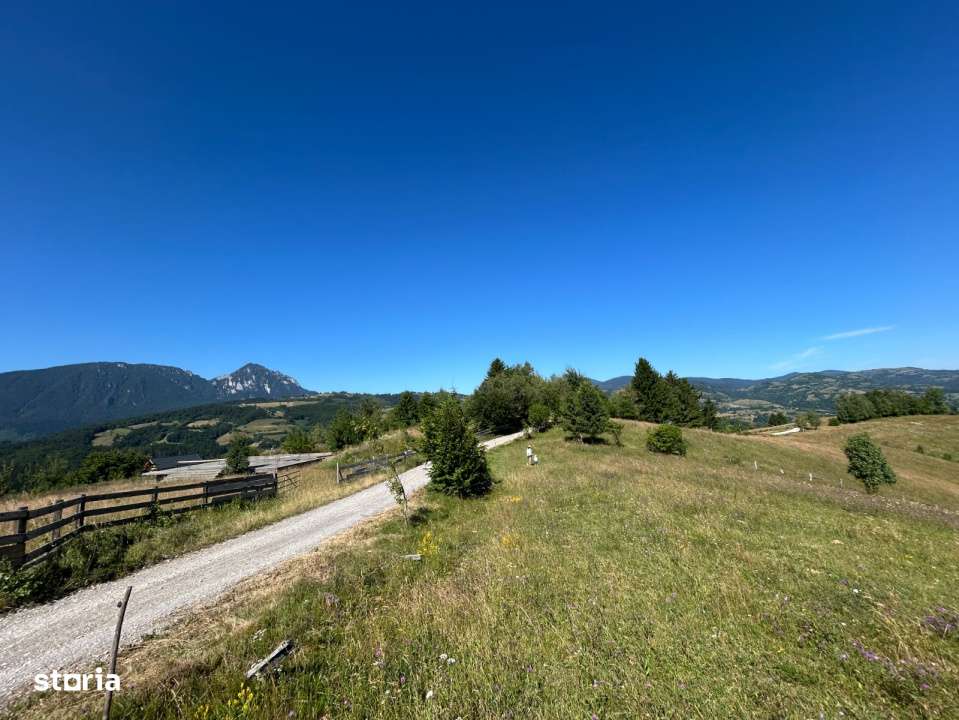 Teren Poiana Marului -Zarnesti -Brasov-4