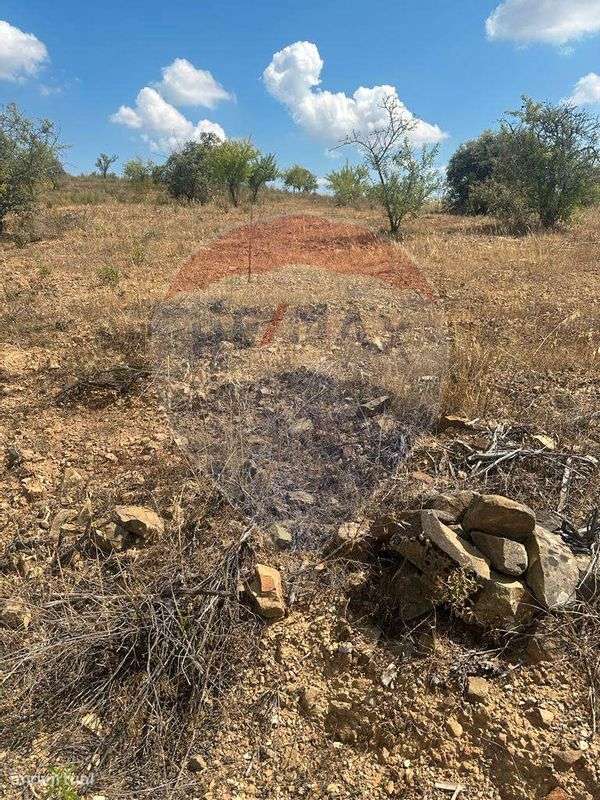 Terreno  para venda - Grande imagem: 4/9