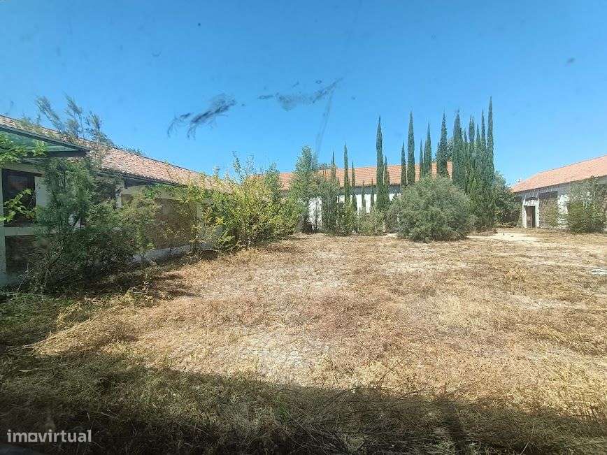 Quintinha em plena lezíria ribatejana, ideal para projeto turístico! - Grande imagem: 2/36