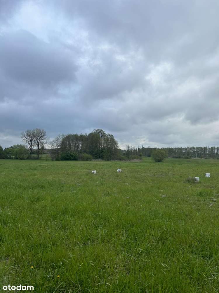 Piękne działki budowlane w Dzbanicach  Gmina Pokrzywnica Narew blisko-2