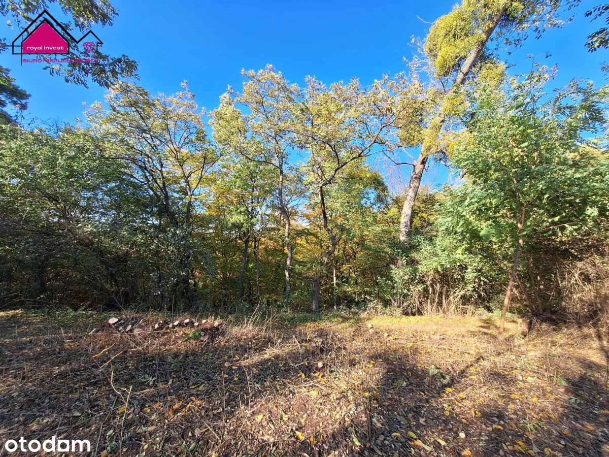 Unikatowa działka dla konesera ciszy i przestrzeni-8