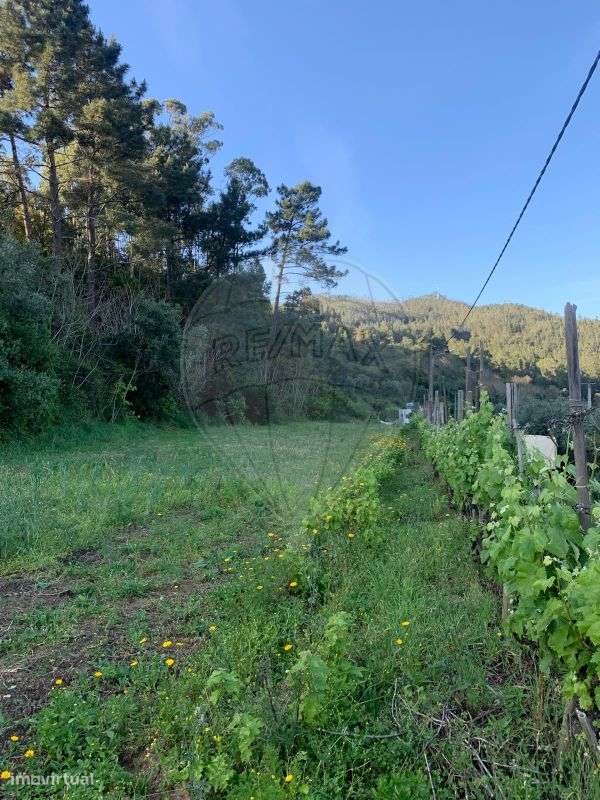 Terreno  para venda - Grande imagem: 2/9