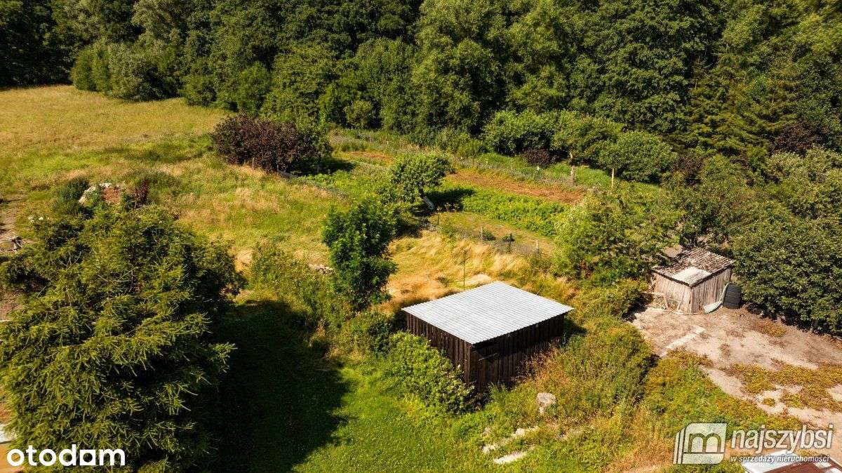 Płoty - Dąbie - Szeregowiec z potencjałem - Pełny obrazek: 5/17