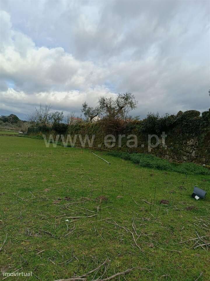 Terreno / Seia, Paranhos - Grande imagem: 4/15