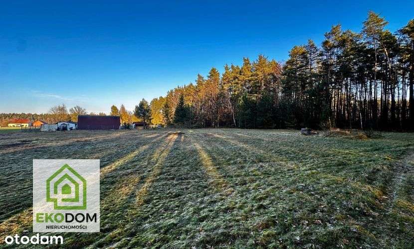 Dwie malownicze  działki pod lasem 1017 i 1957 m2 / Panoszów-14