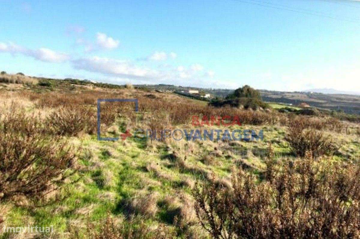 Terrenos rústicos com um total de 20.933m², com cultura arvense, pa... - Grande imagem: 5/8