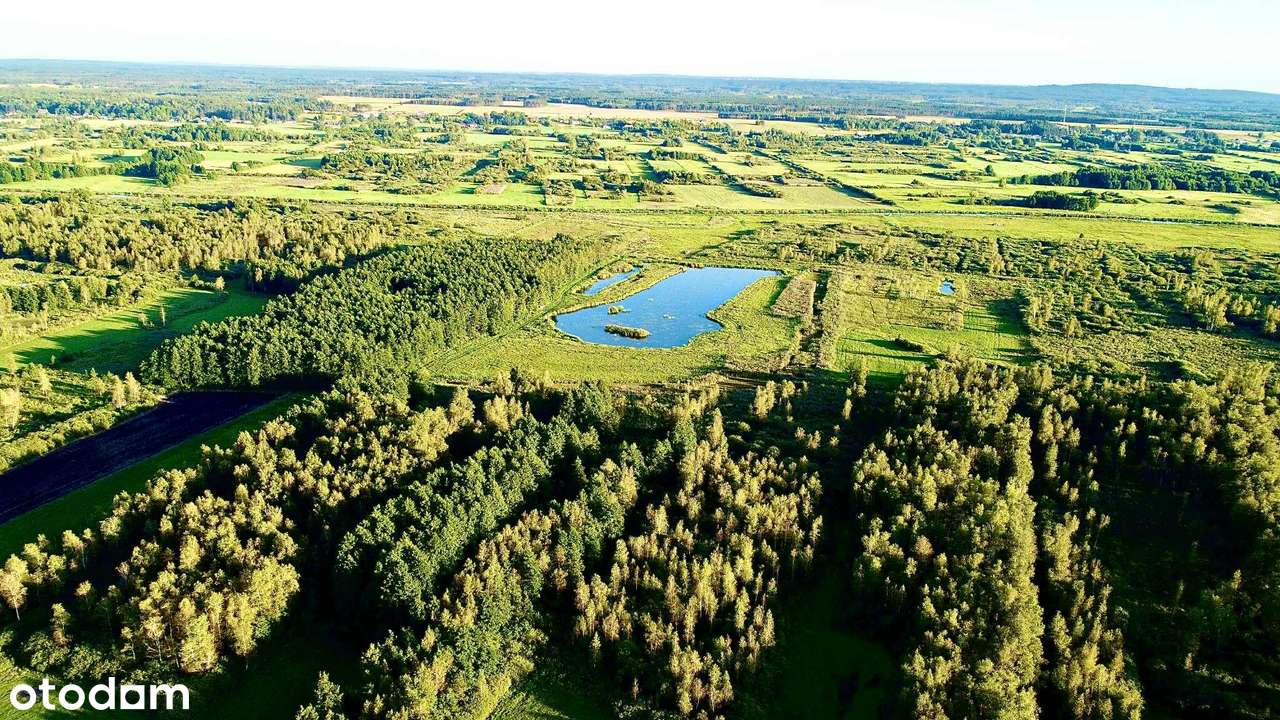 Sprzedam Wyjątkowe Siedlisko z Ogromnym Potencjałem przy DK 10 !!! - Pełny obrazek: 5/20