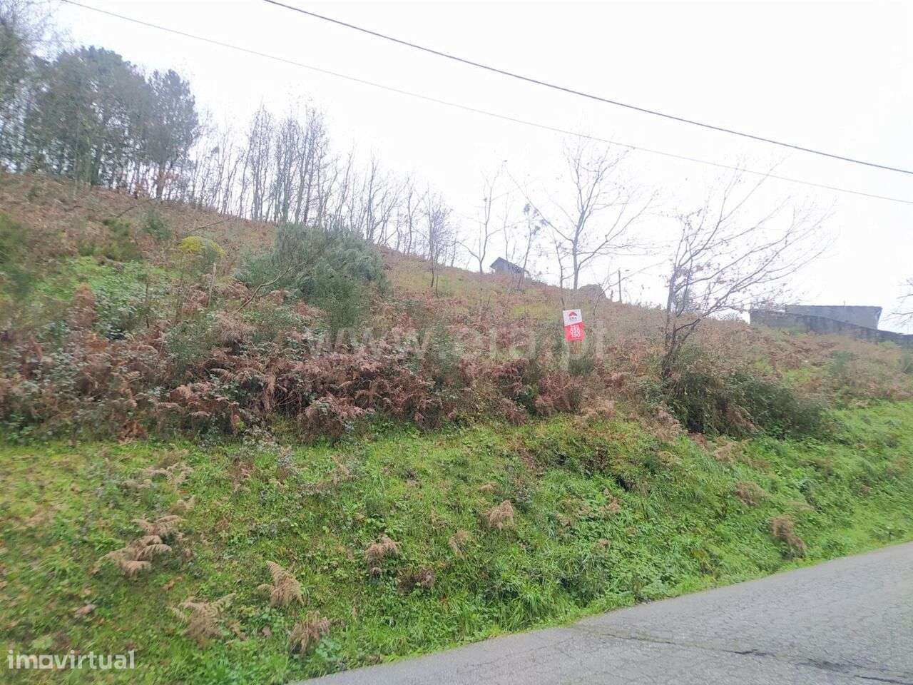 Terreno / Baião, Campelo e Ovil - Grande imagem: 3/9