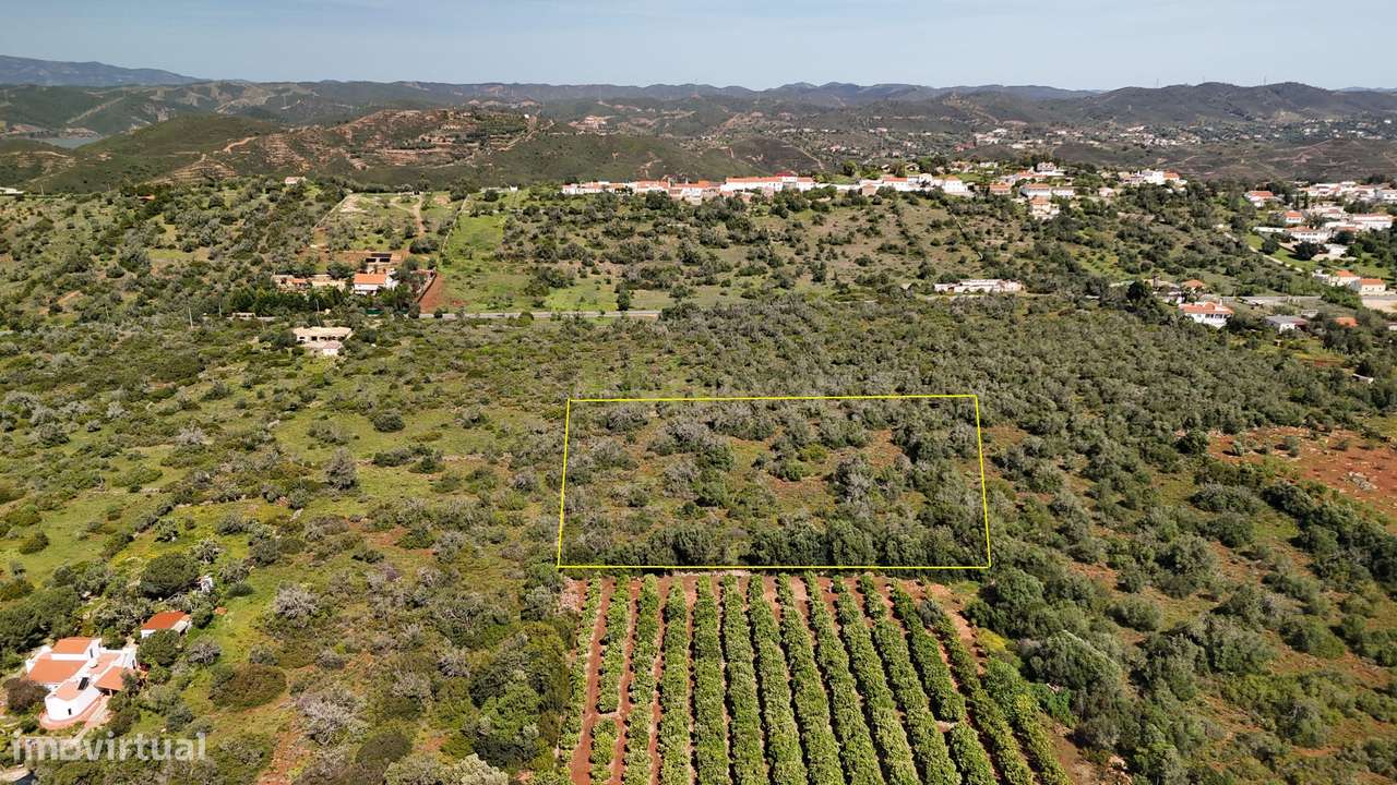 Terreno Rústico com 9.400 m² em Pedregais – Ideal para Agricultura ou - Grande imagem: 3/8