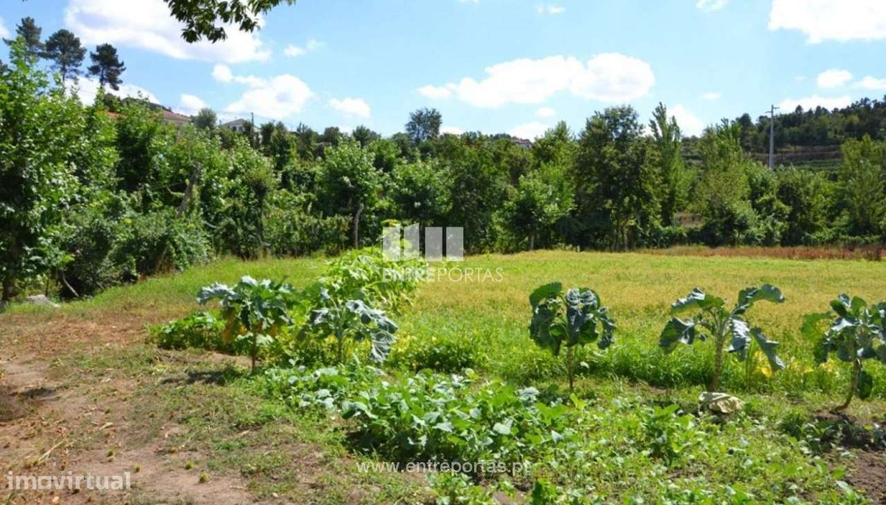 Venda Terreno, Constance, Marco de Canaveses - Grande imagem: 4/25