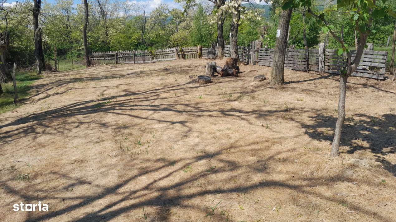 Teren extravilan de vanzare – Stanesti, 3.861 mp, livada de ciresi-2
