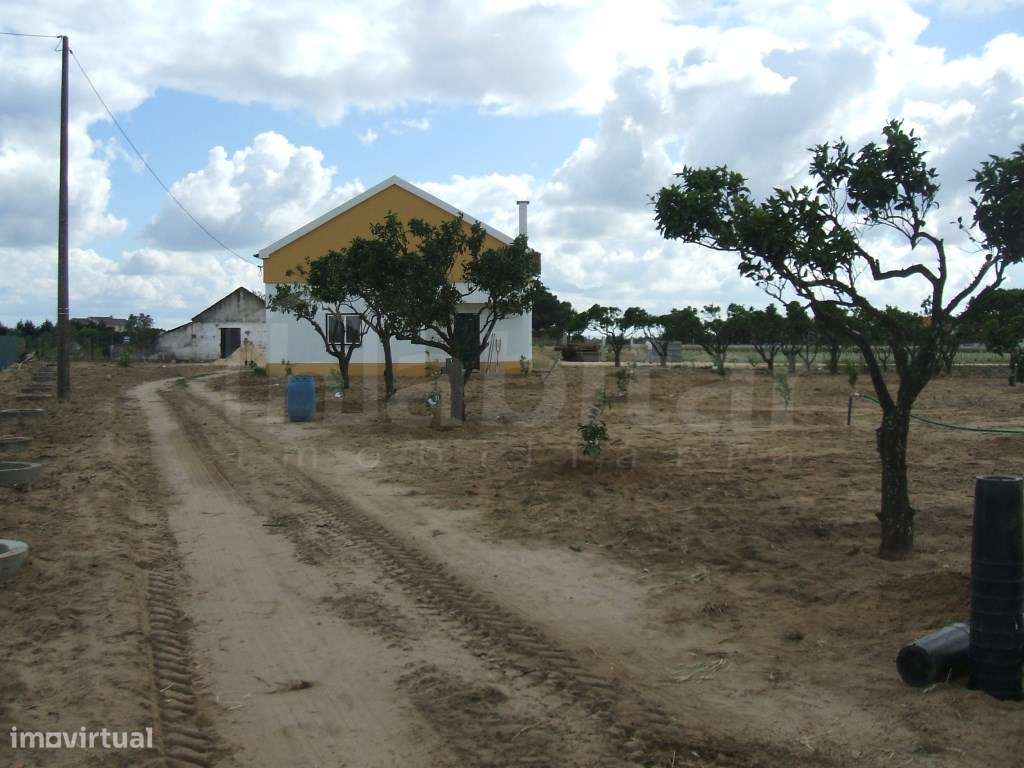 Terreno Rústico, com 35.000,00 m2 - Grande imagem: 3/20