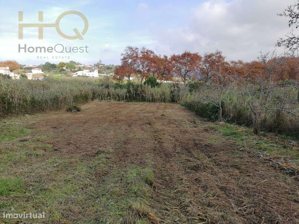 Terreno de 1668 m2 de lote com PIP Qualificado em Aprovação - Grande imagem: 5/7