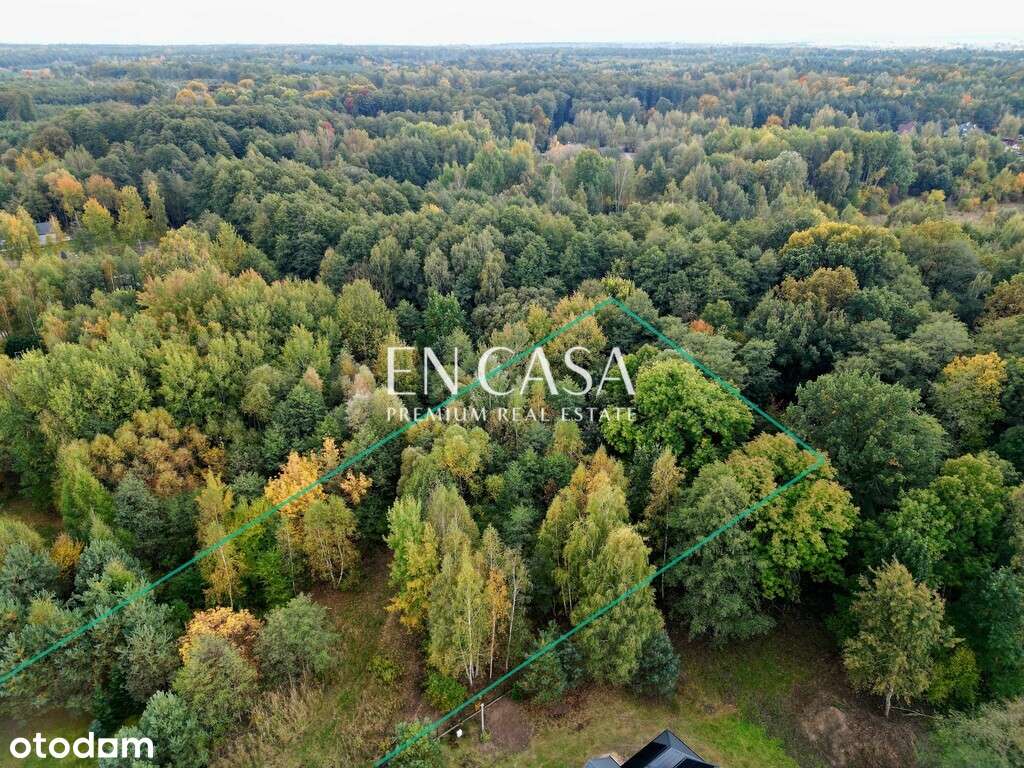 Działka 2721m2 w otoczeniu lasu - Pełny obrazek: 4/9