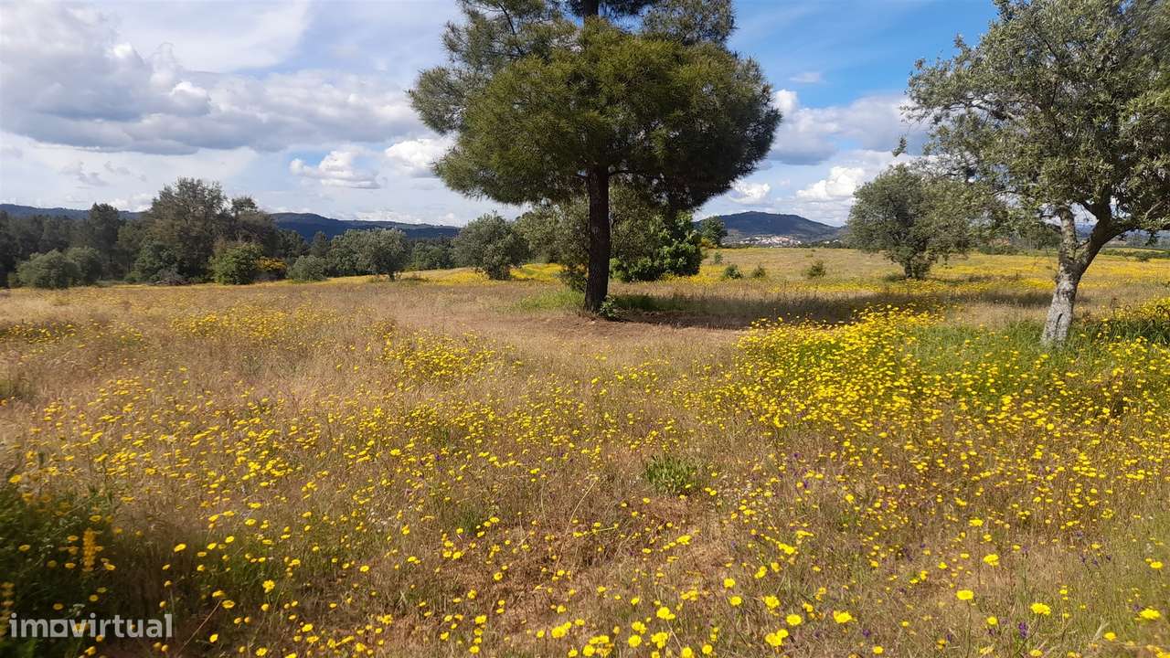 Herdade T0 Venda em Enxames,Fundão - Grande imagem: 4/14