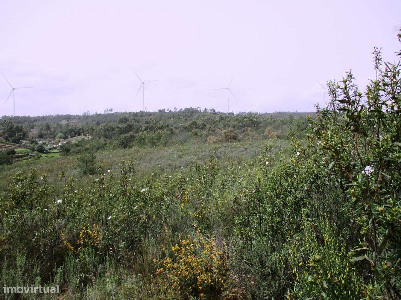 Terreno - Grande imagem: 5/5