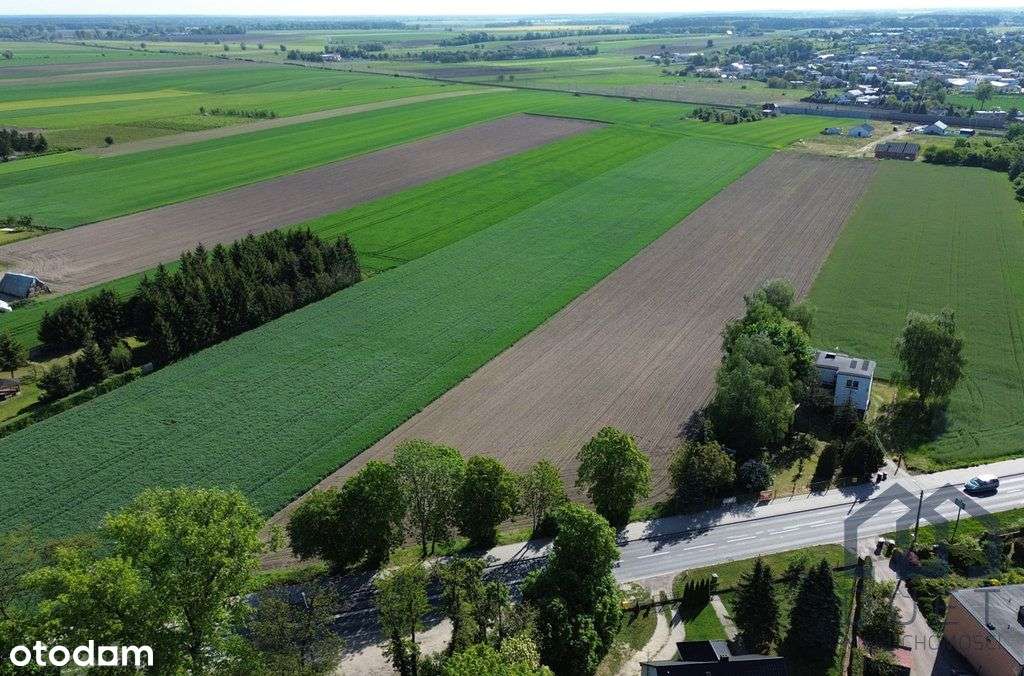 Działki pod zabudowę mieszkaniową - Czempiń - Pełny obrazek: 4/11
