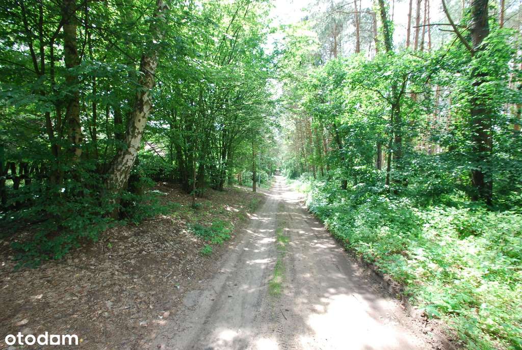 Urokliwy domek w środku lasu - Moczydło-12