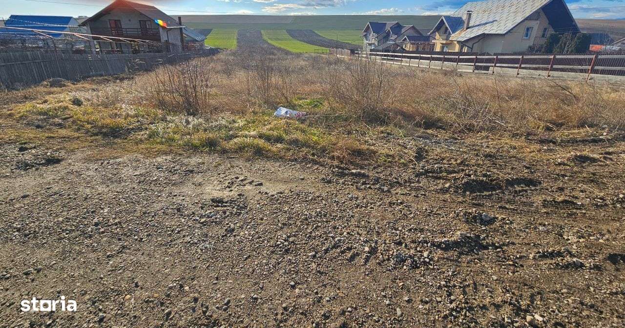 Teren Turturesti la strada principala - Imagine principală: 3/8
