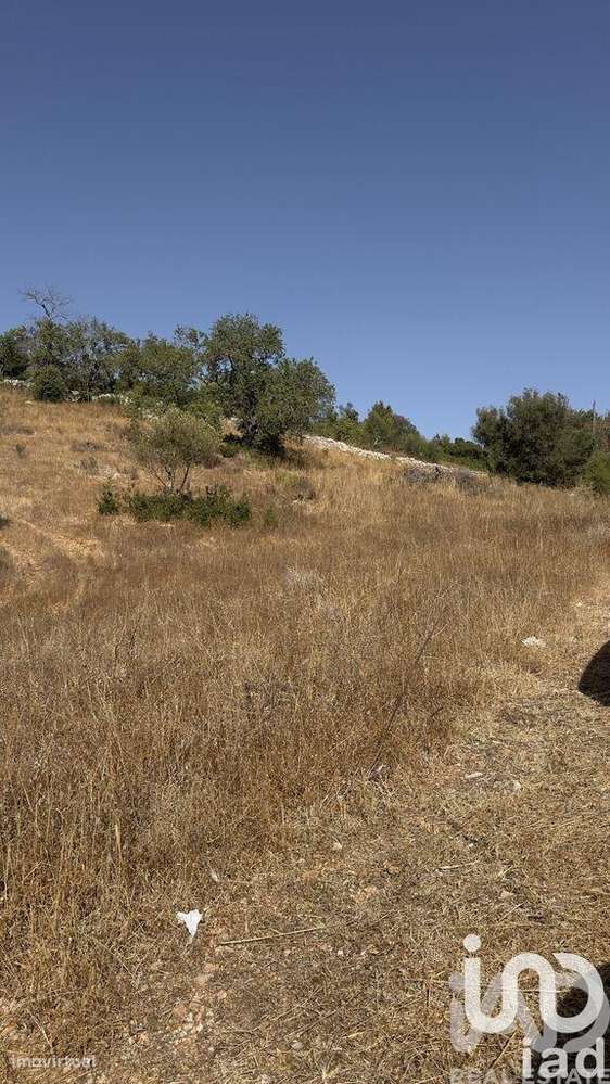 Terreno Agrícola em Algoz e Tunes - Grande imagem: 4/9